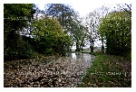Inland Waters